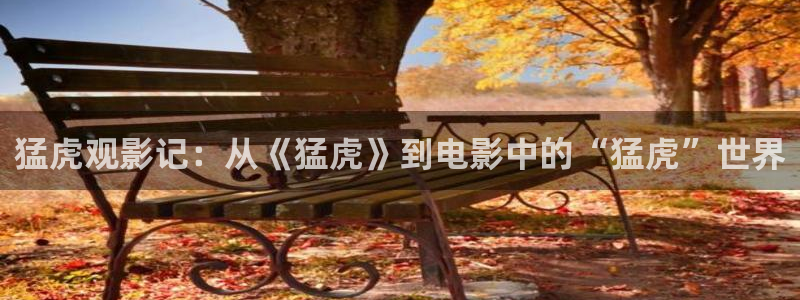 神马影院伦理我不卡1