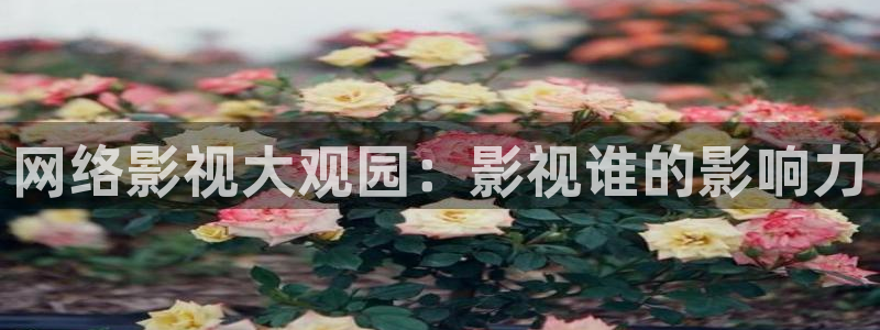 原来神马琪琪电影免费