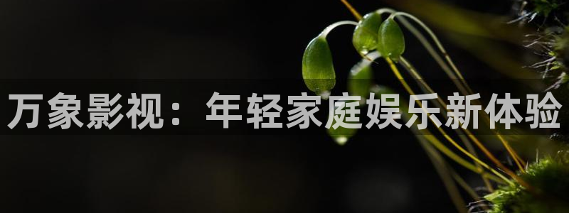 神马三级我不卡手机在线
