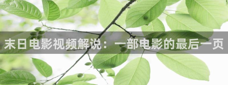 神马电影我的邻居