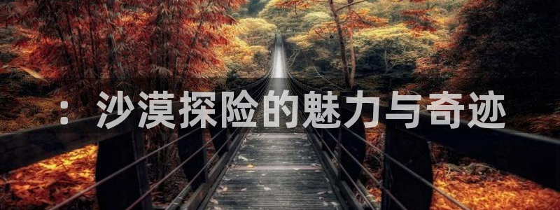 神马影院妈妈的朋友