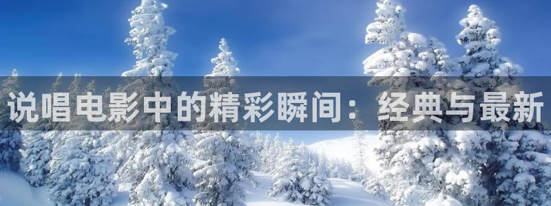 神马伦理我不卡电影
