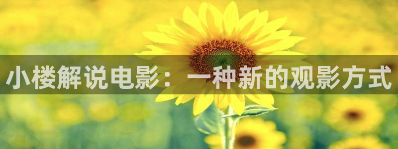 神马影视我不卡