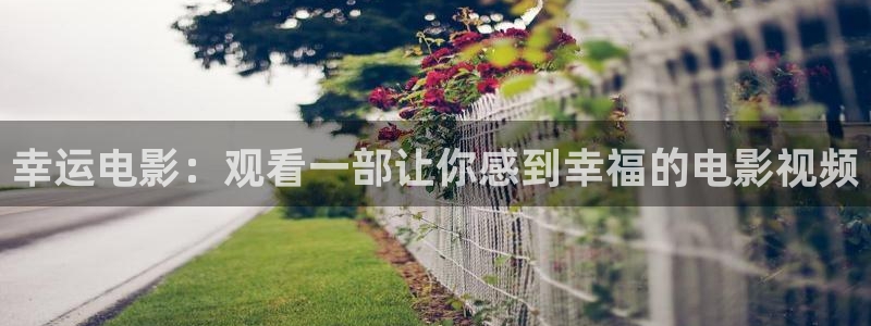 神马电影午夜纤纤视频