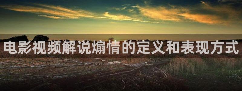 神马影院理论中文