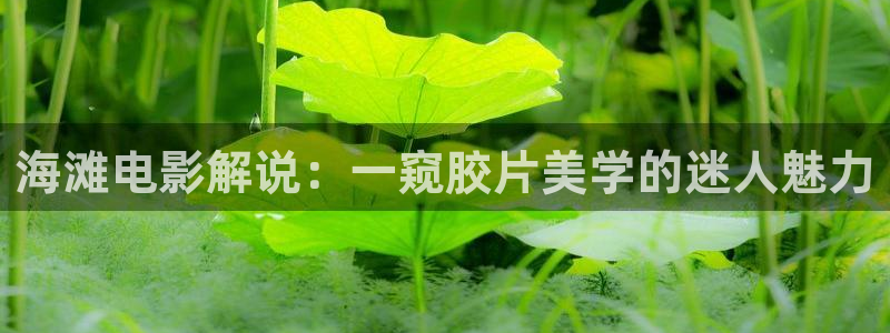 电影神马伦理片