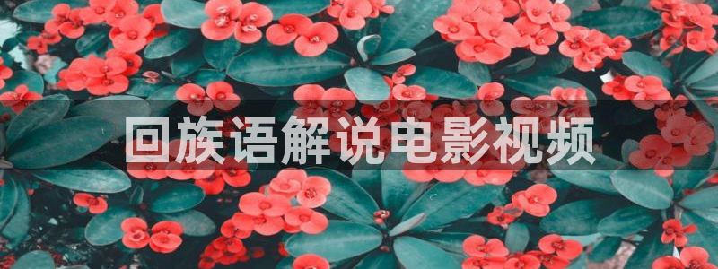 神马影院伦理在线看