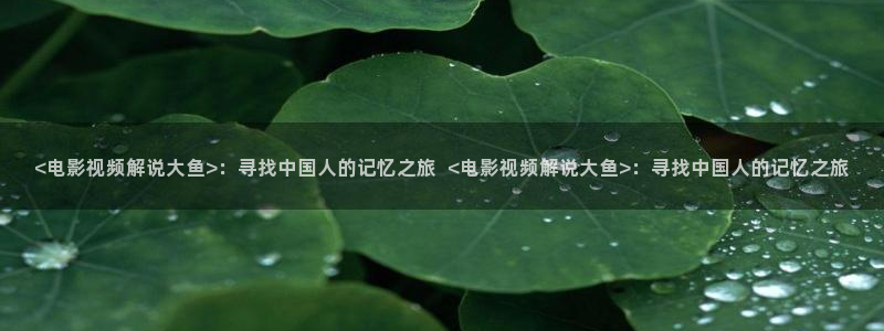 新闻图片