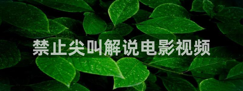 神马影院满清十大酷刑