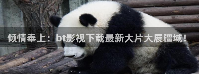 神马影院午夜免费